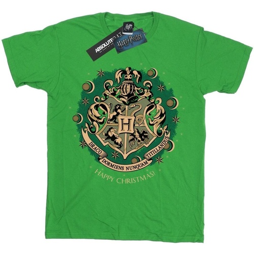 Abbigliamento Bambino T-shirts a maniche lunghe Harry Potter BI1681 Verde