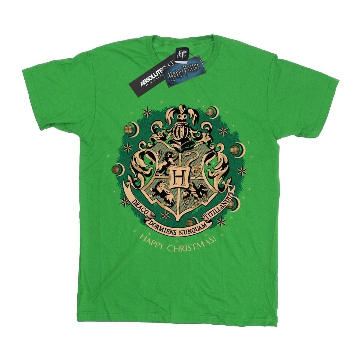 Abbigliamento Bambino T-shirts a maniche lunghe Harry Potter BI1681 Verde