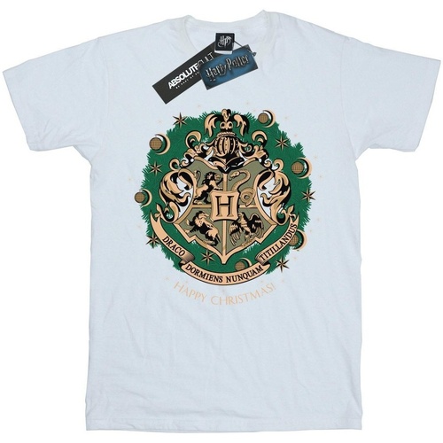 Abbigliamento Bambino T-shirts a maniche lunghe Harry Potter BI1681 Bianco
