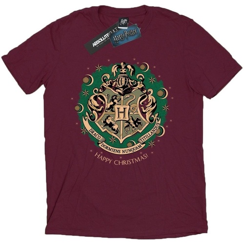 Abbigliamento Uomo T-shirts a maniche lunghe Harry Potter BI1711 Multicolore
