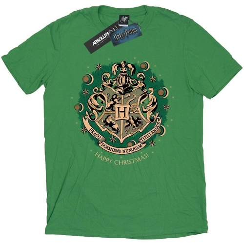 Abbigliamento Uomo T-shirts a maniche lunghe Harry Potter BI1711 Verde
