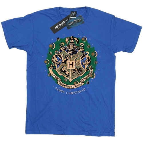 Abbigliamento Uomo T-shirts a maniche lunghe Harry Potter BI1711 Blu