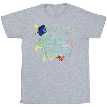 Abbigliamento Bambina T-shirts a maniche lunghe Finding Dory Ocean Adventure Grigio