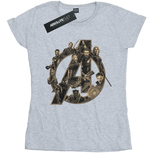 Abbigliamento Donna T-shirts a maniche lunghe Avengers Infinity War BI2162 Grigio