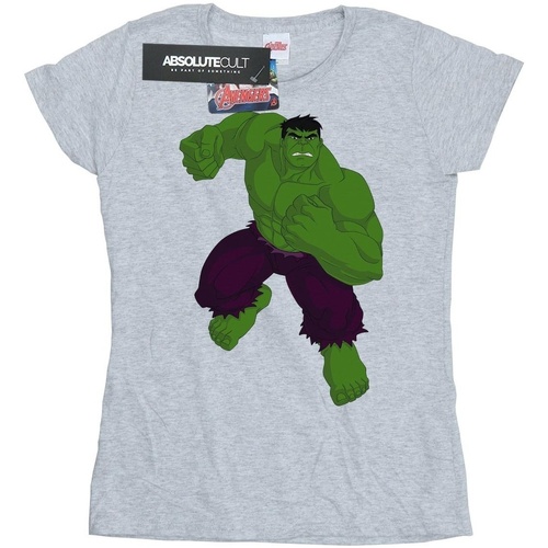 Abbigliamento Donna T-shirts a maniche lunghe Hulk  Grigio