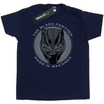 Abbigliamento Uomo T-shirts a maniche lunghe Black Panther  Blu