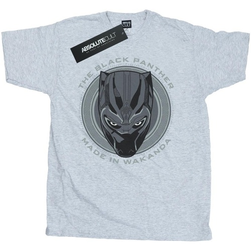 Abbigliamento Uomo T-shirts a maniche lunghe Black Panther BI407 Grigio
