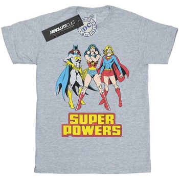Abbigliamento Uomo T-shirts a maniche lunghe Dc Super Hero Girls Super Power Grigio