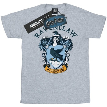 Abbigliamento Bambina T-shirts a maniche lunghe Harry Potter BI419 Grigio