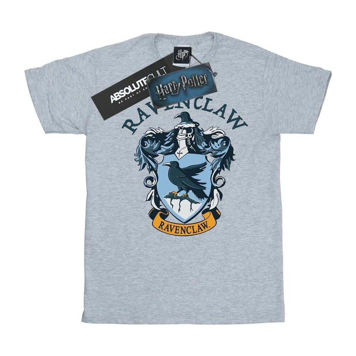 Abbigliamento Bambina T-shirts a maniche lunghe Harry Potter BI419 Grigio