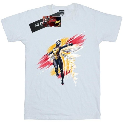 Abbigliamento Uomo T-shirts a maniche lunghe Ant-Man And The Wasp BI433 Bianco