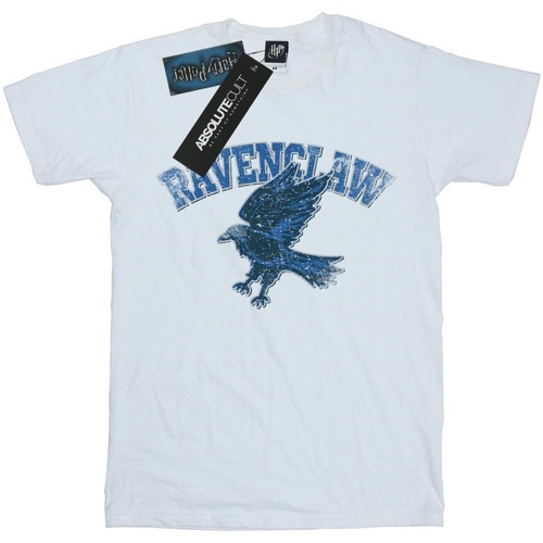 Abbigliamento Donna T-shirts a maniche lunghe Harry Potter Ravenclaw Bianco