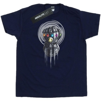 Abbigliamento Uomo T-shirts a maniche lunghe Avengers Infinity War  Blu