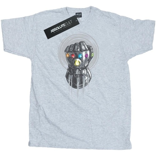 Abbigliamento Uomo T-shirts a maniche lunghe Avengers Infinity War BI441 Grigio