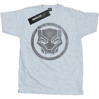 Abbigliamento Uomo T-shirts a maniche lunghe Black Panther  Grigio