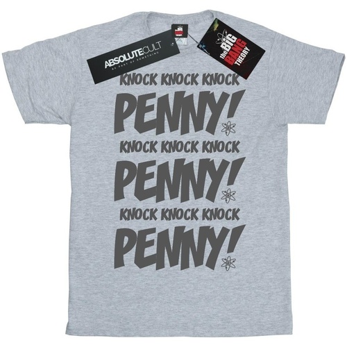 Abbigliamento Donna T-shirts a maniche lunghe The Big Bang Theory Knock Knock Penny Grigio