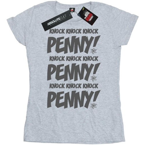 Abbigliamento Donna T-shirts a maniche lunghe The Big Bang Theory Knock Knock Penny Grigio