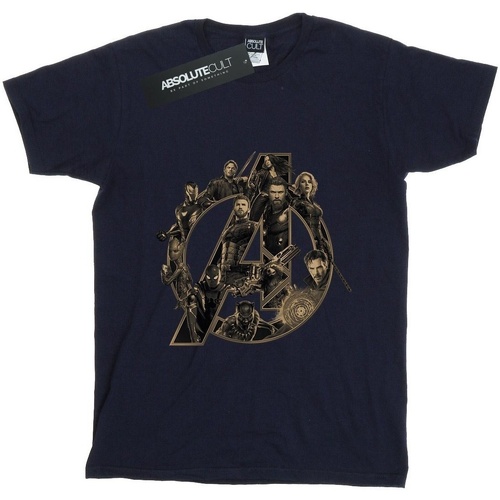 Abbigliamento Donna T-shirts a maniche lunghe Avengers Infinity War BI550 Blu