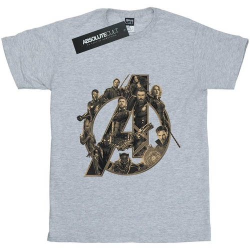 Abbigliamento Donna T-shirts a maniche lunghe Avengers Infinity War BI550 Grigio