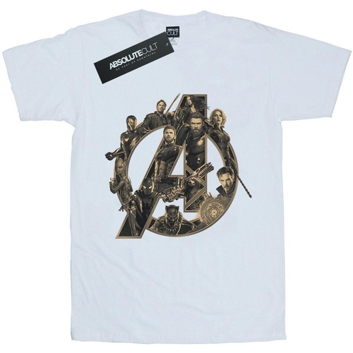 Abbigliamento Donna T-shirts a maniche lunghe Avengers Infinity War BI550 Bianco
