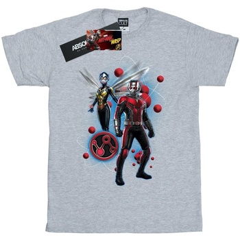 Abbigliamento Bambina T-shirts a maniche lunghe Ant-Man And The Wasp  Grigio
