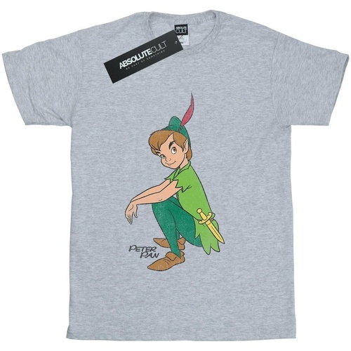 Abbigliamento Bambina T-shirts a maniche lunghe Peter Pan Classic Grigio