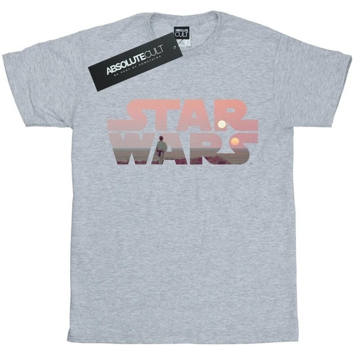 Abbigliamento Uomo T-shirts a maniche lunghe Disney Tatooine Grigio