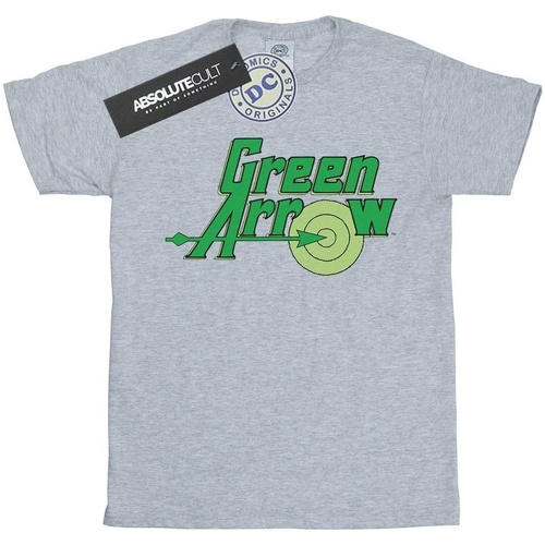 Abbigliamento Uomo T-shirts a maniche lunghe Green Arrow BI740 Grigio