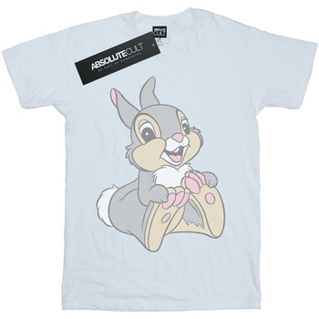 Abbigliamento Bambina T-shirts a maniche lunghe Bambi Classic Bianco
