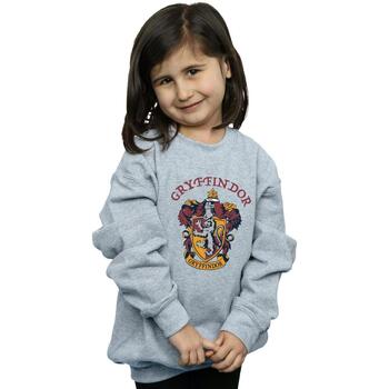 Abbigliamento Bambina Felpe Harry Potter BI797 Grigio