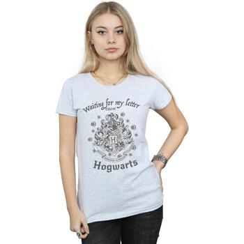 Abbigliamento Donna T-shirts a maniche lunghe Harry Potter Waiting For My Letter Grigio