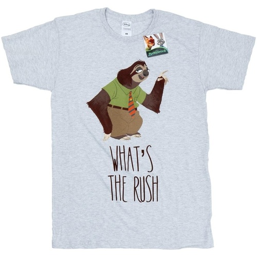 Abbigliamento Uomo T-shirts a maniche lunghe Zootropolis What's The Rush Grigio