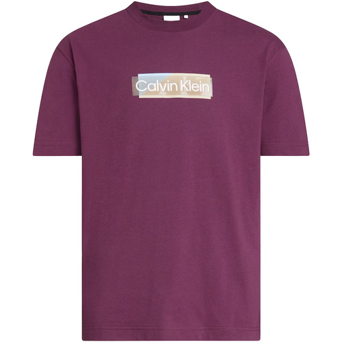 Abbigliamento Uomo T-shirt & Polo Calvin Klein Jeans Layered Gel Logo T-Shirt Viola