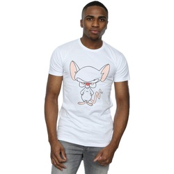 Abbigliamento Uomo T-shirts a maniche lunghe Animaniacs The Brain Classic Pose Bianco