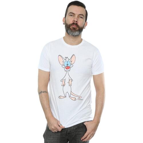 Abbigliamento Uomo T-shirts a maniche lunghe Animaniacs Pinky Classic Pose Bianco