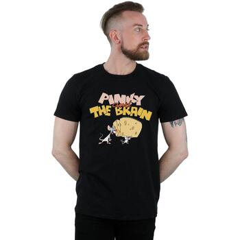 Abbigliamento Uomo T-shirts a maniche lunghe Animaniacs Pinky And The Brain Cheese Head Nero