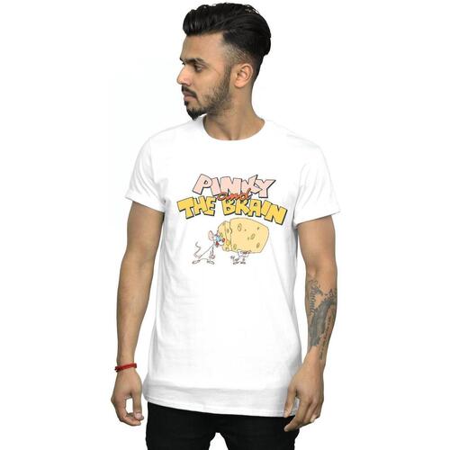 Abbigliamento Uomo T-shirts a maniche lunghe Animaniacs Pinky And The Brain Cheese Head Bianco