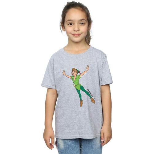 Abbigliamento Bambina T-shirts a maniche lunghe Peter Pan Classic Grigio