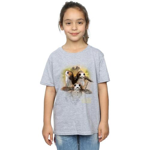 Abbigliamento Bambina T-shirts a maniche lunghe Star Wars: The Last Jedi BI1184 Grigio
