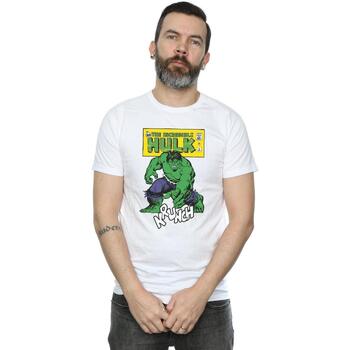 Abbigliamento Uomo T-shirts a maniche lunghe Hulk Krunch Bianco