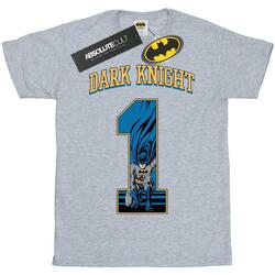 Abbigliamento Uomo T-shirts a maniche lunghe Dc Comics Batman Football Dark Knight Grigio