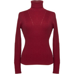 Abbigliamento Donna Maglioni Pepe jeans PL702030-BURGUNDY Rosso