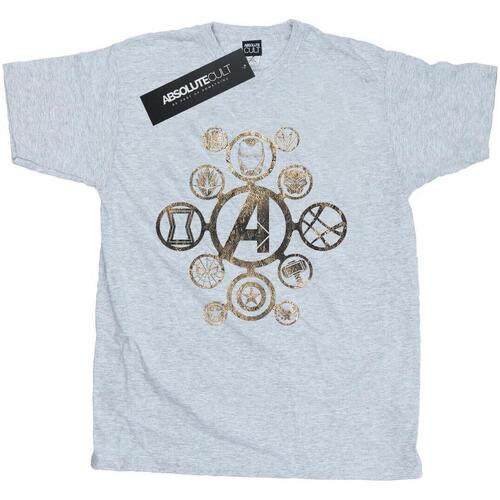 Abbigliamento Uomo T-shirts a maniche lunghe Avengers Infinity War BI449 Grigio
