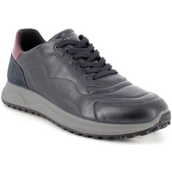 Scarpe Uomo Sneakers IgI&CO 4640711 Blu