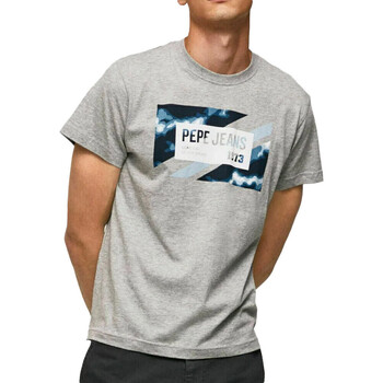 Abbigliamento Uomo T-shirt & Polo Pepe jeans PM508685 Grigio
