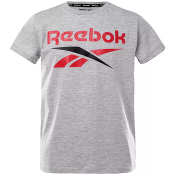 Abbigliamento Bambino T-shirt maniche corte Reebok Sport H89462RBI Grigio