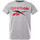 Abbigliamento Bambino T-shirt & Polo Reebok Sport H89462RBI Grigio