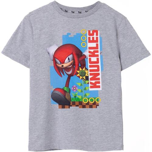 Abbigliamento Unisex bambino T-shirt maniche corte Sonic The Hedgehog NS7428 Grigio