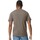Abbigliamento T-shirts a maniche lunghe Gildan Softstyle Multicolore