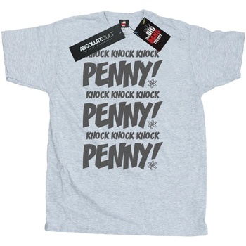 Abbigliamento Uomo T-shirts a maniche lunghe The Big Bang Theory Sheldon Knock Knock Penny Grigio